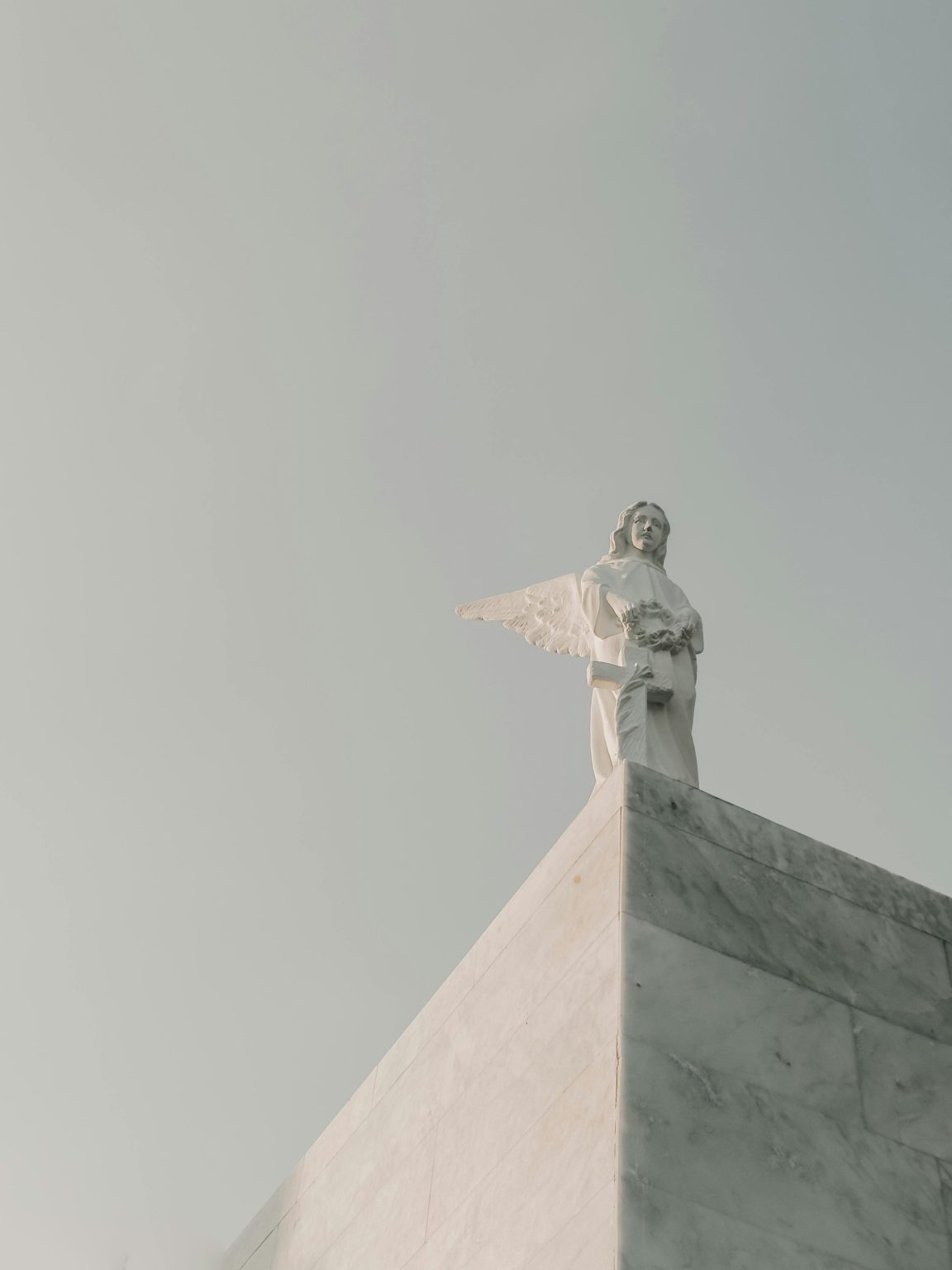 pexels-brunocervera-19345473