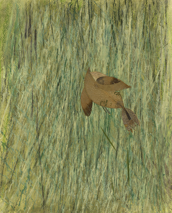 Pernice in volo